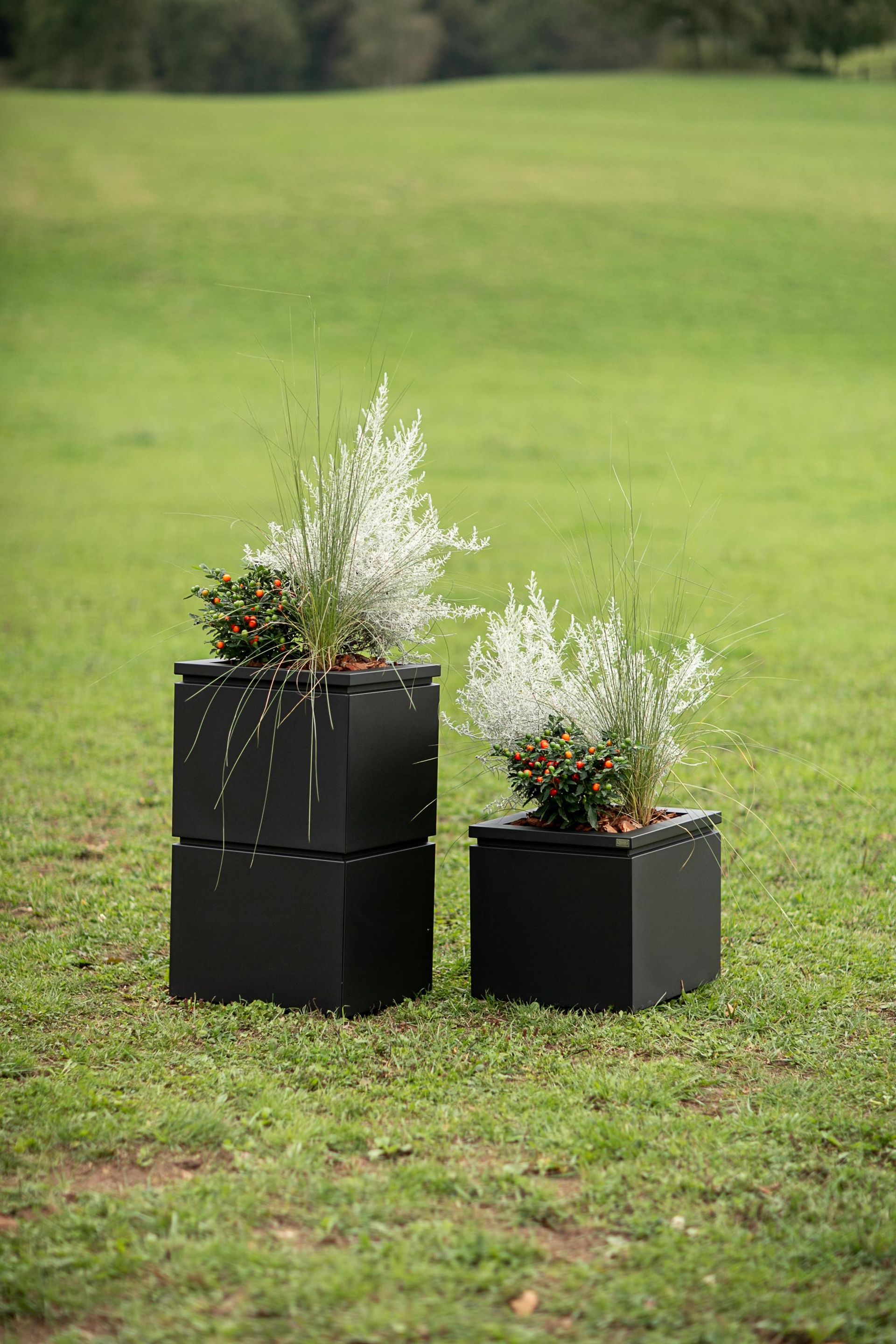 Vasi quadrati neri con fiori bianchi e rossi su erba verde.