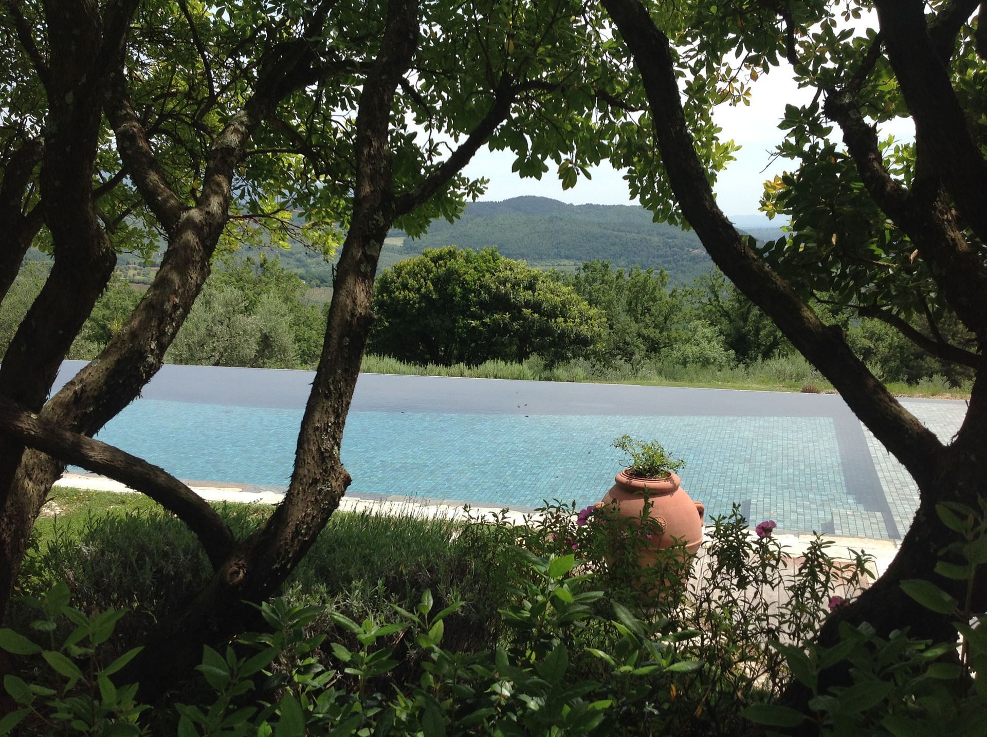 Una piscina a sfioro circondata da alberi, con vista sulle colline e sul cielo.