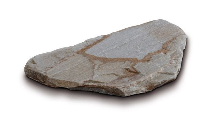Pietra grigia, dalla forma irregolare, con venature marroni.