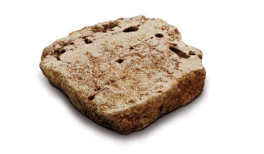 Roccia porosa color marrone chiaro e marrone su sfondo bianco.