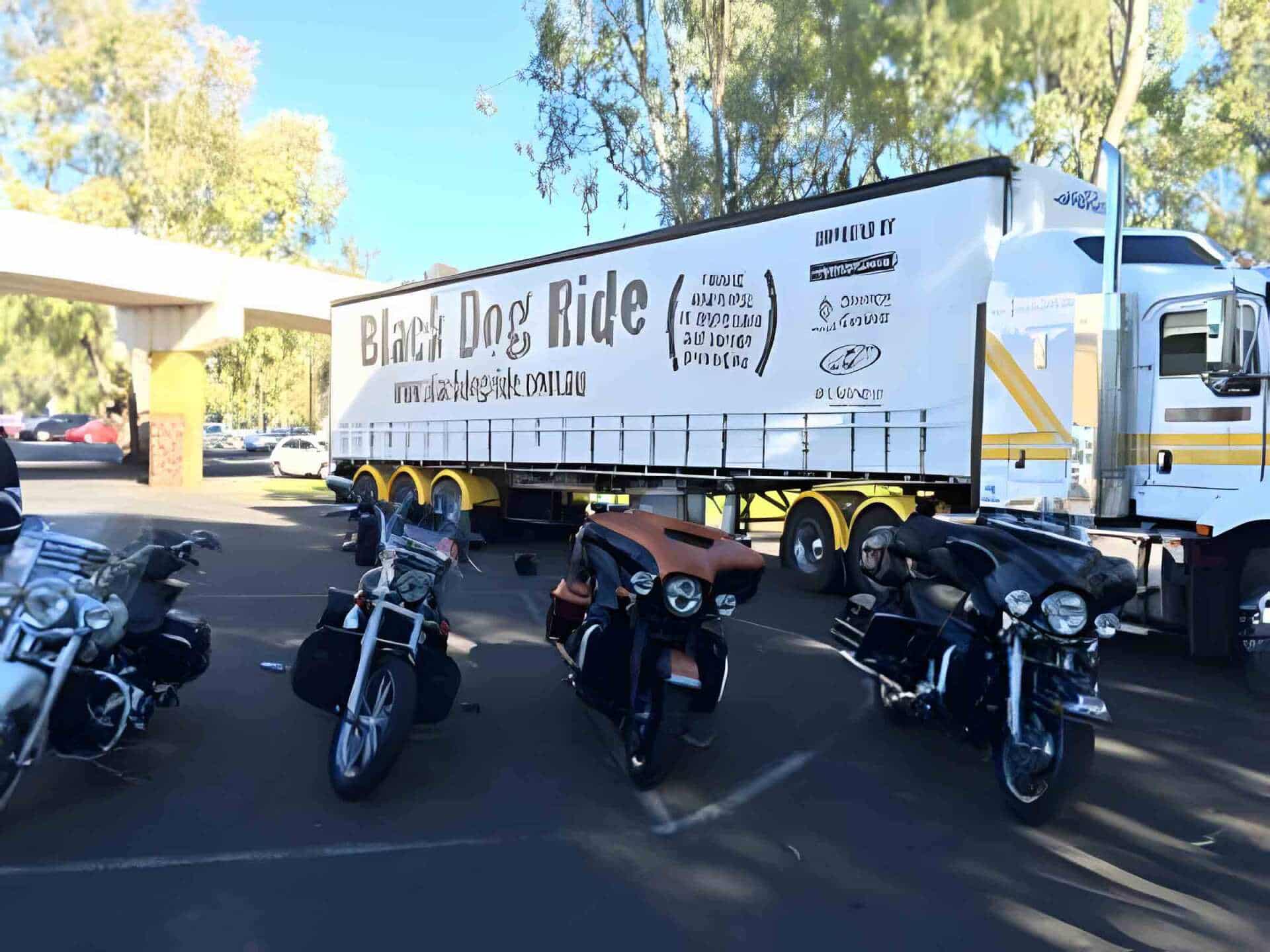 Black Dog Ride Truck — Sign Writing in Dubbo, NSW
