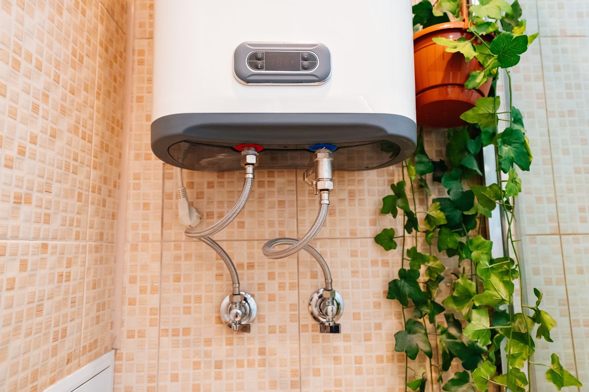 Water heater mounted on a tiled wall with connected hoses. Green vines and a small potted plant are nearby.