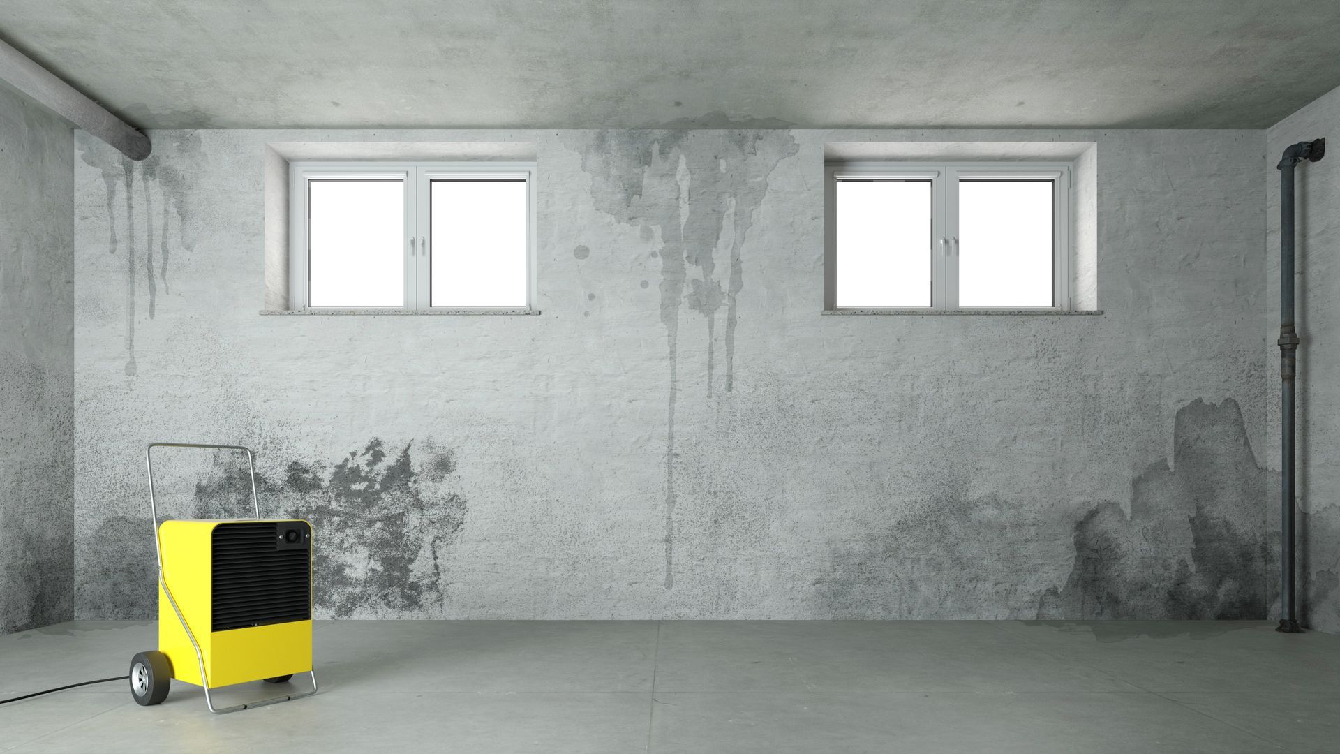 Damp basement with water damage, two windows, and a yellow dehumidifier.