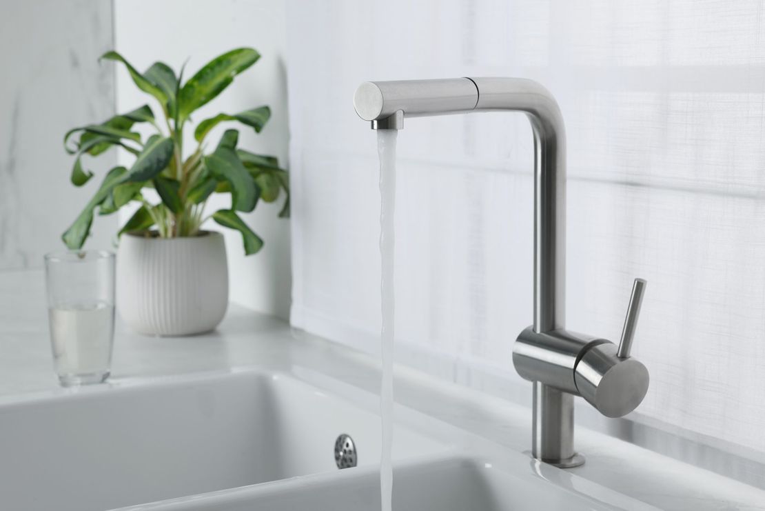 A kitchen sink with a faucet and a plant in the background.