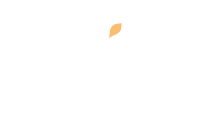 wix