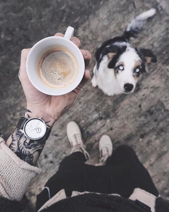 watches luxury watches Swissline Swissair bari la misura del tempo paul hewitt