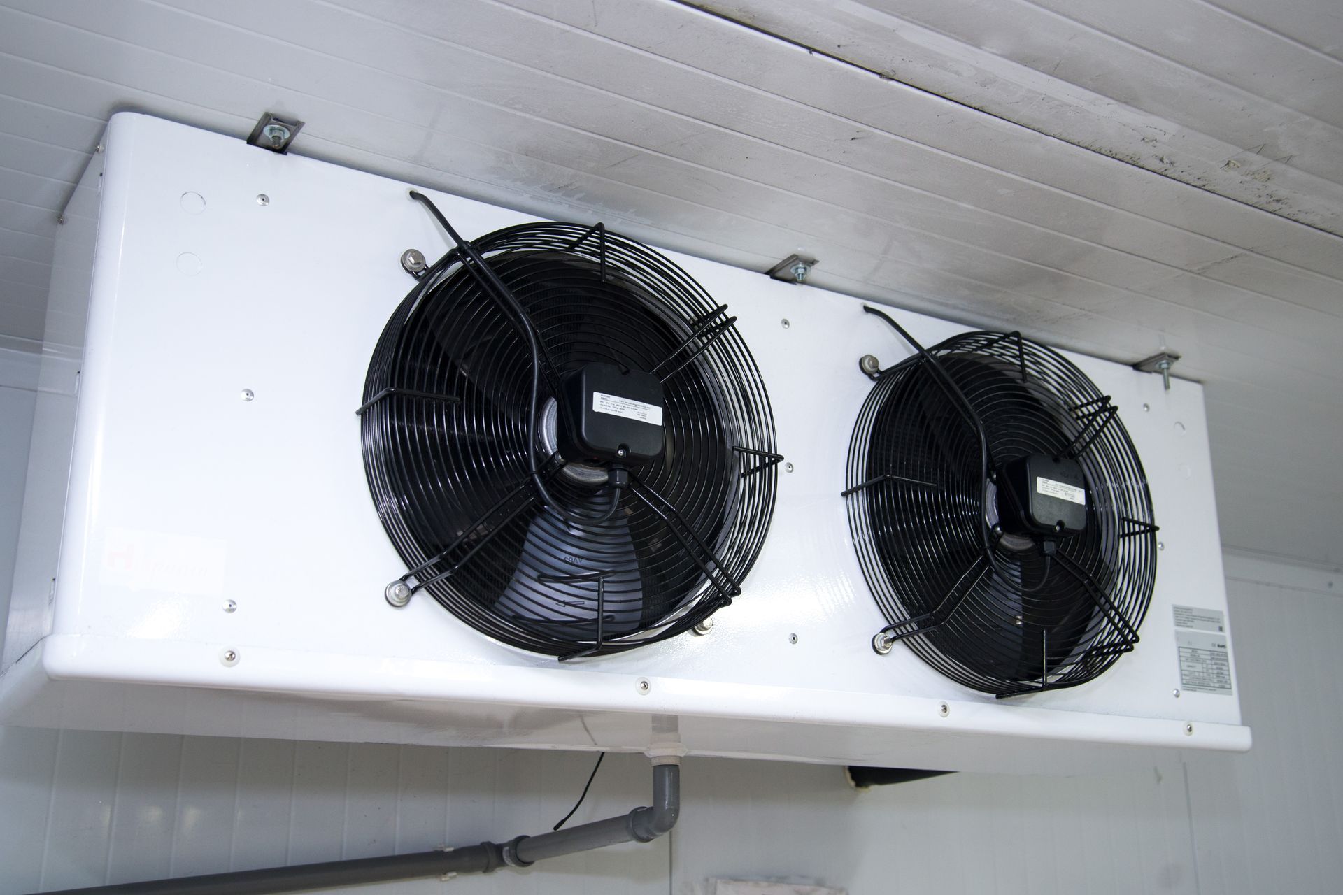 Two fans are hanging from the ceiling of a room.