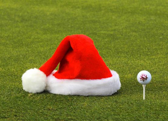 Synthetic Turf At Christmas Time, order online at Easy Turf Australia