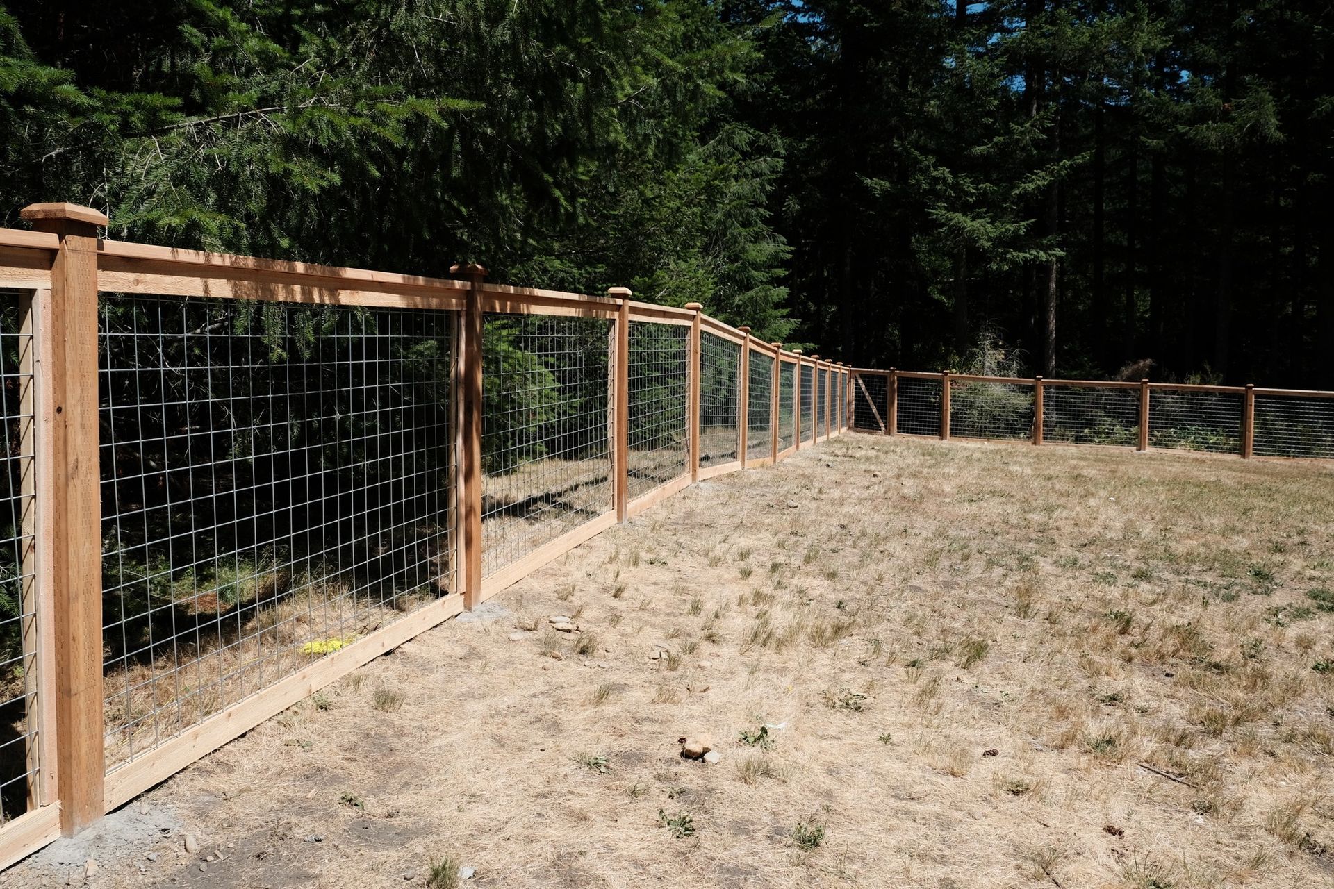 Wooden fence with wire mesh panels enclosing a dry grassy yard, trees in the background.