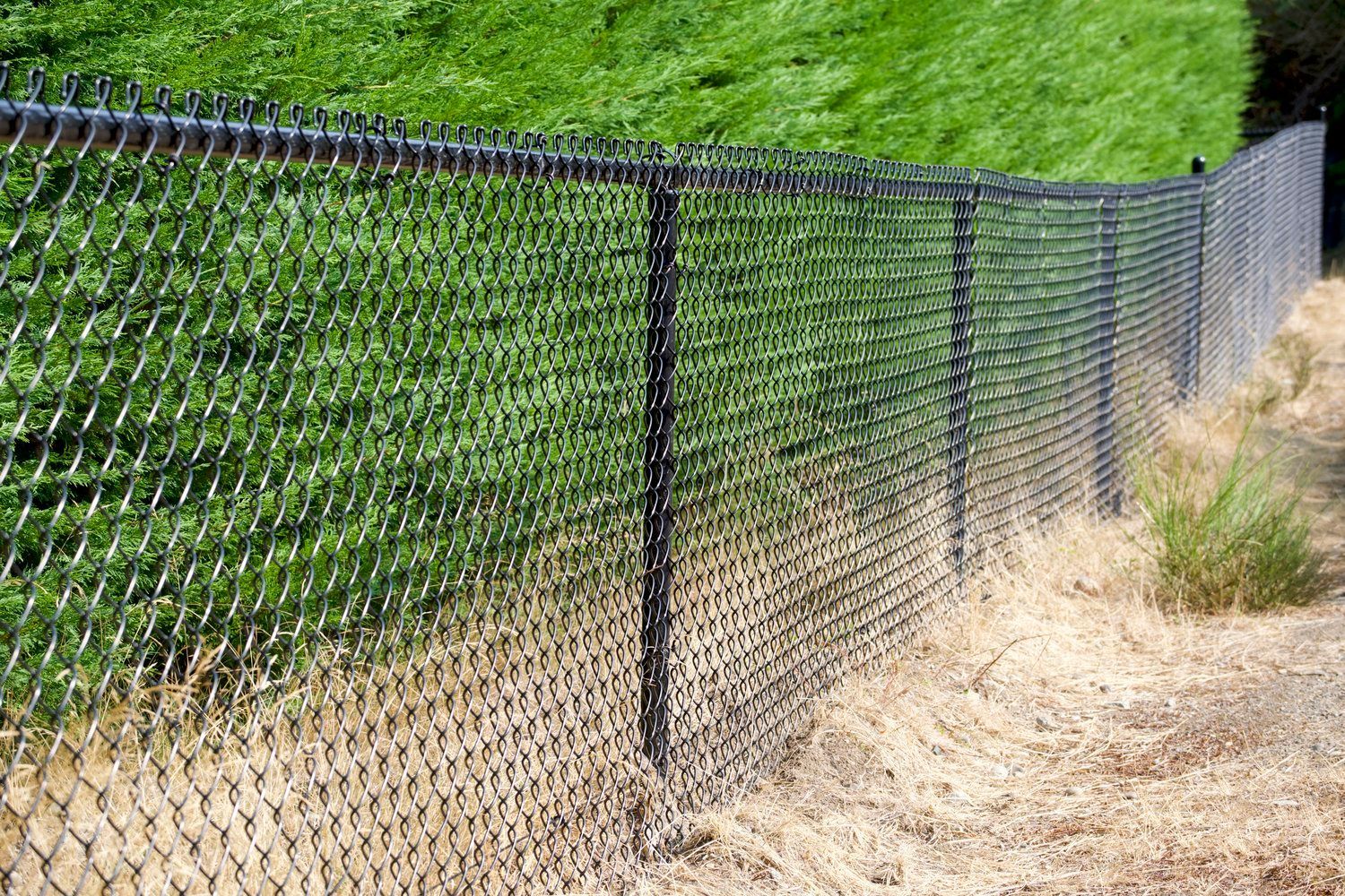 Black chain-link fence separating dry, tan grass and green hillside, under a bright sky.