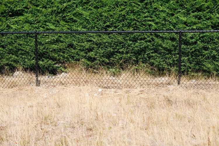 A Chain Link Fence Surrounds a Baseball Field at Sunset | Issaquah, WA | Neighborly Fencing