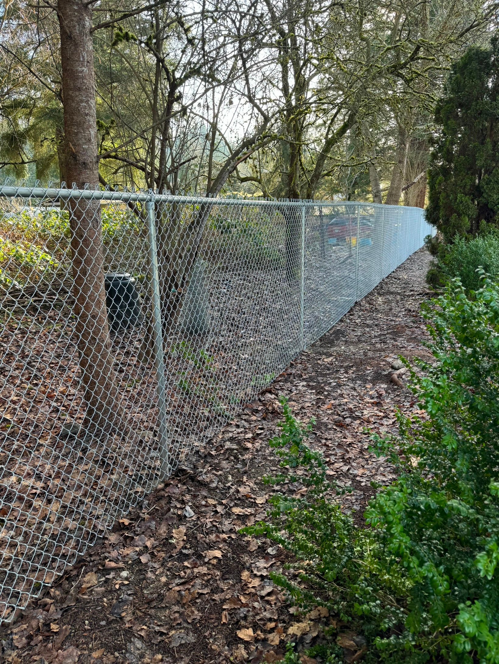 Galvanized Chain Link Fencing