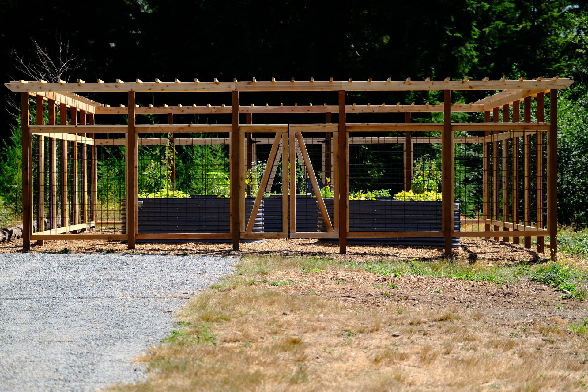 Garden Enclosure Fencing