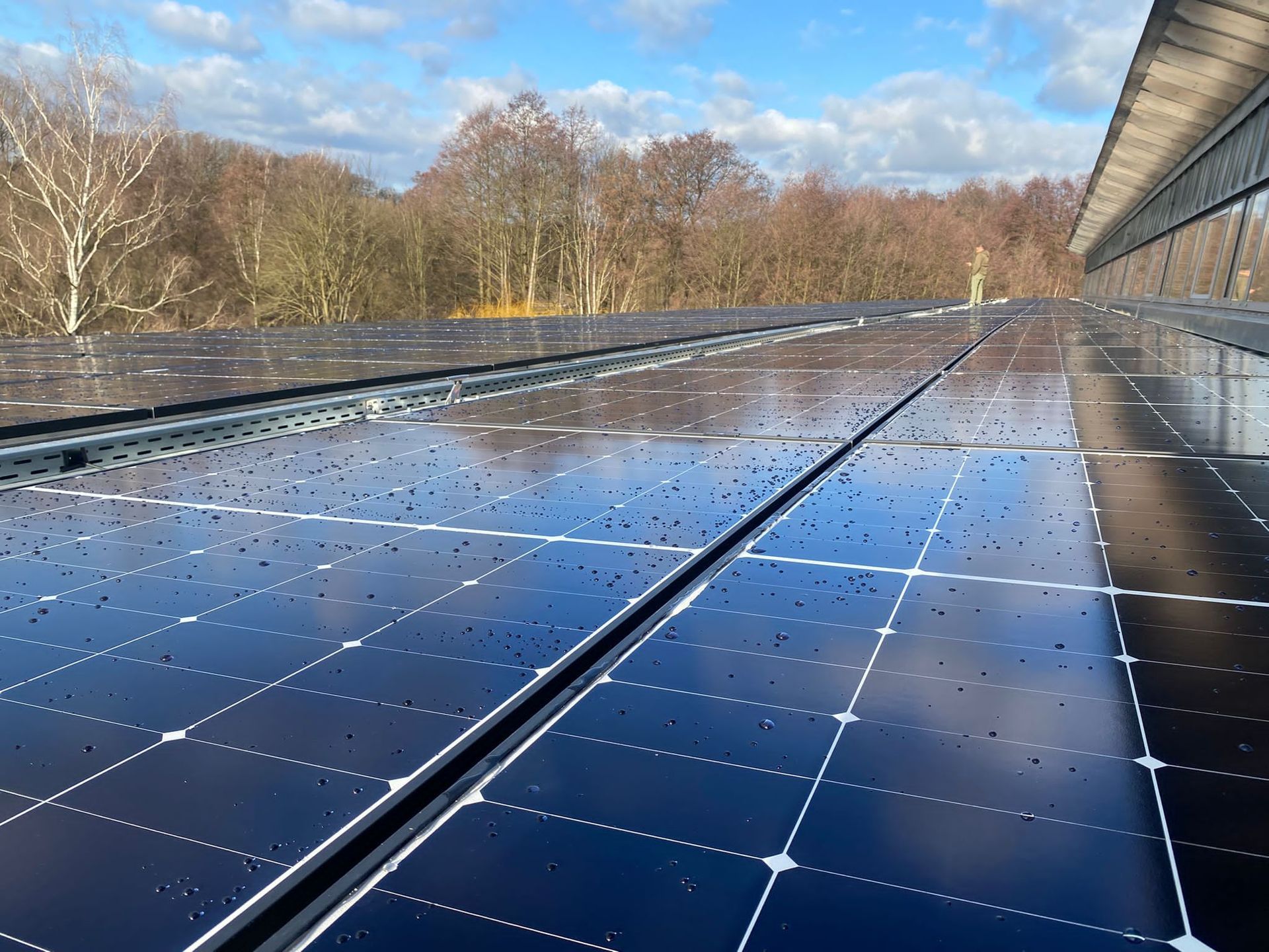 A row of solar panels on the roof of a building.