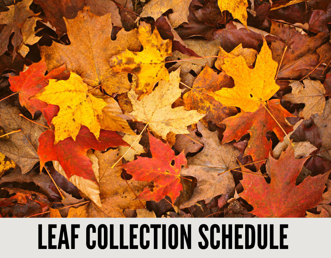 LEAF PICKUP UPDATE