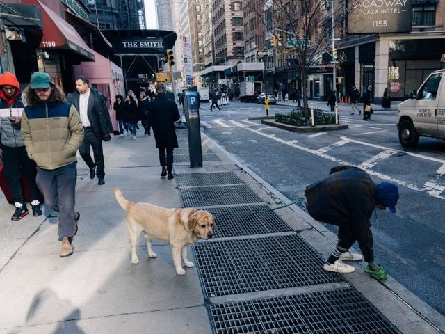 how do blind people pick up dog poop