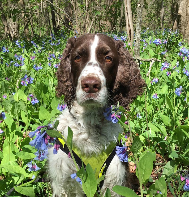 Chloe Duncan — Joseph, IL — St. Joseph Animal Hospital