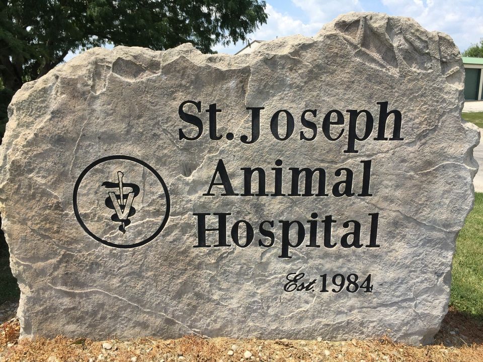 Staff | St. Joseph Animal Hospital | St. Joseph, IL