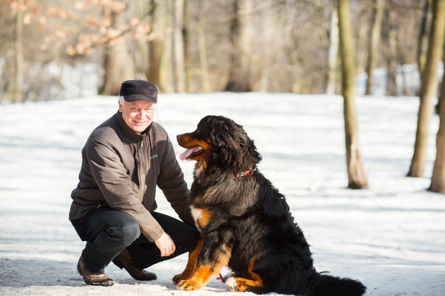 Man kneeling next to a Bernese Mountain Dog in a snowy park.