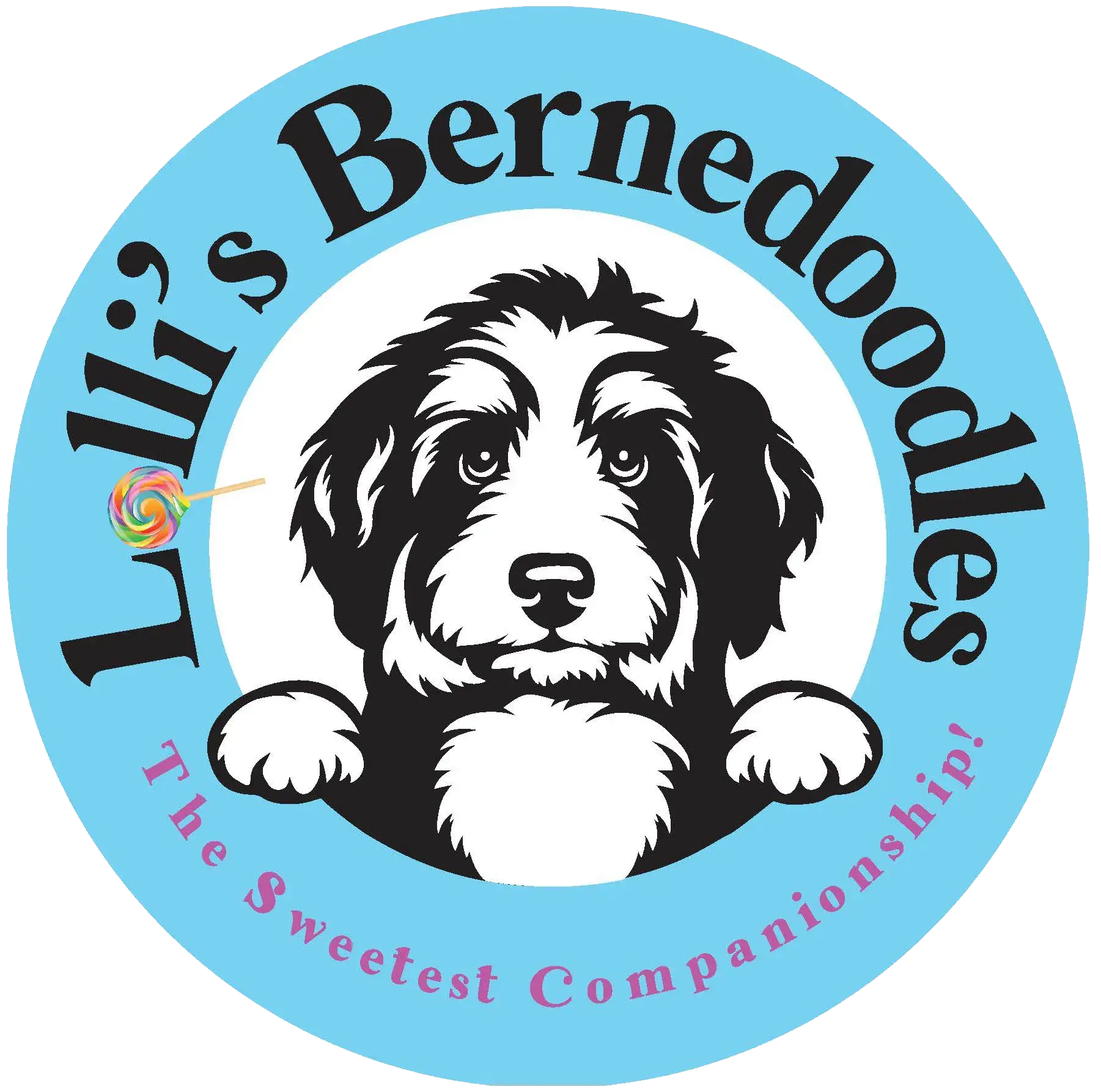 Lolli's Bernedoodles, LLC