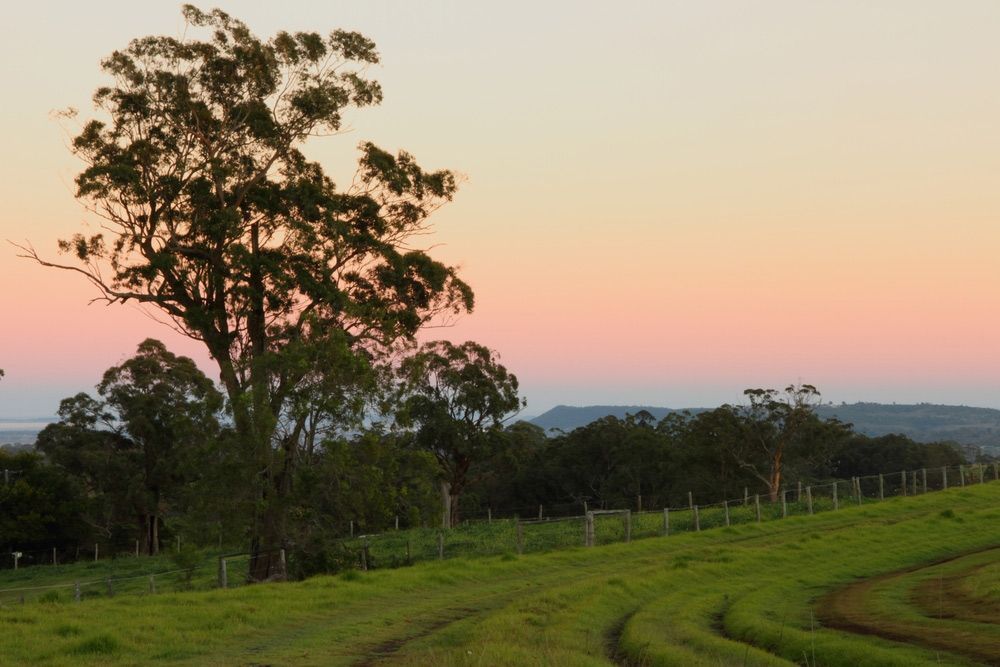 Sunset on Green Field With a Mountain Range in The Background in Darling Downs — Bampak In Darling Downs QLD