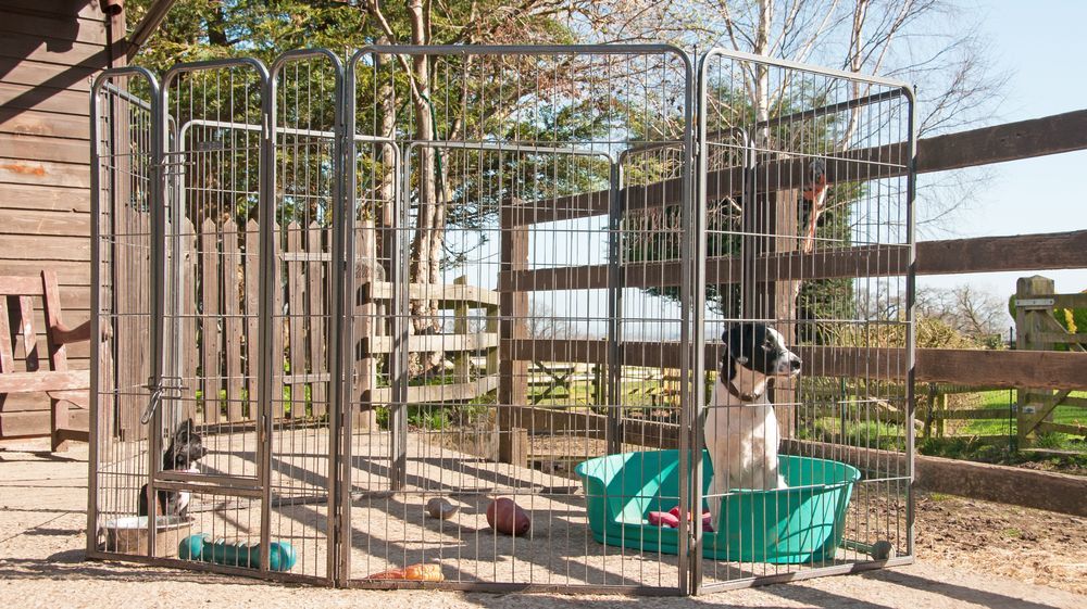 Large Play Pen Outdoor — Puppies for Sale in Rainbow Flat, NSW