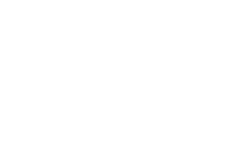 logo alternativo da Cemoliver