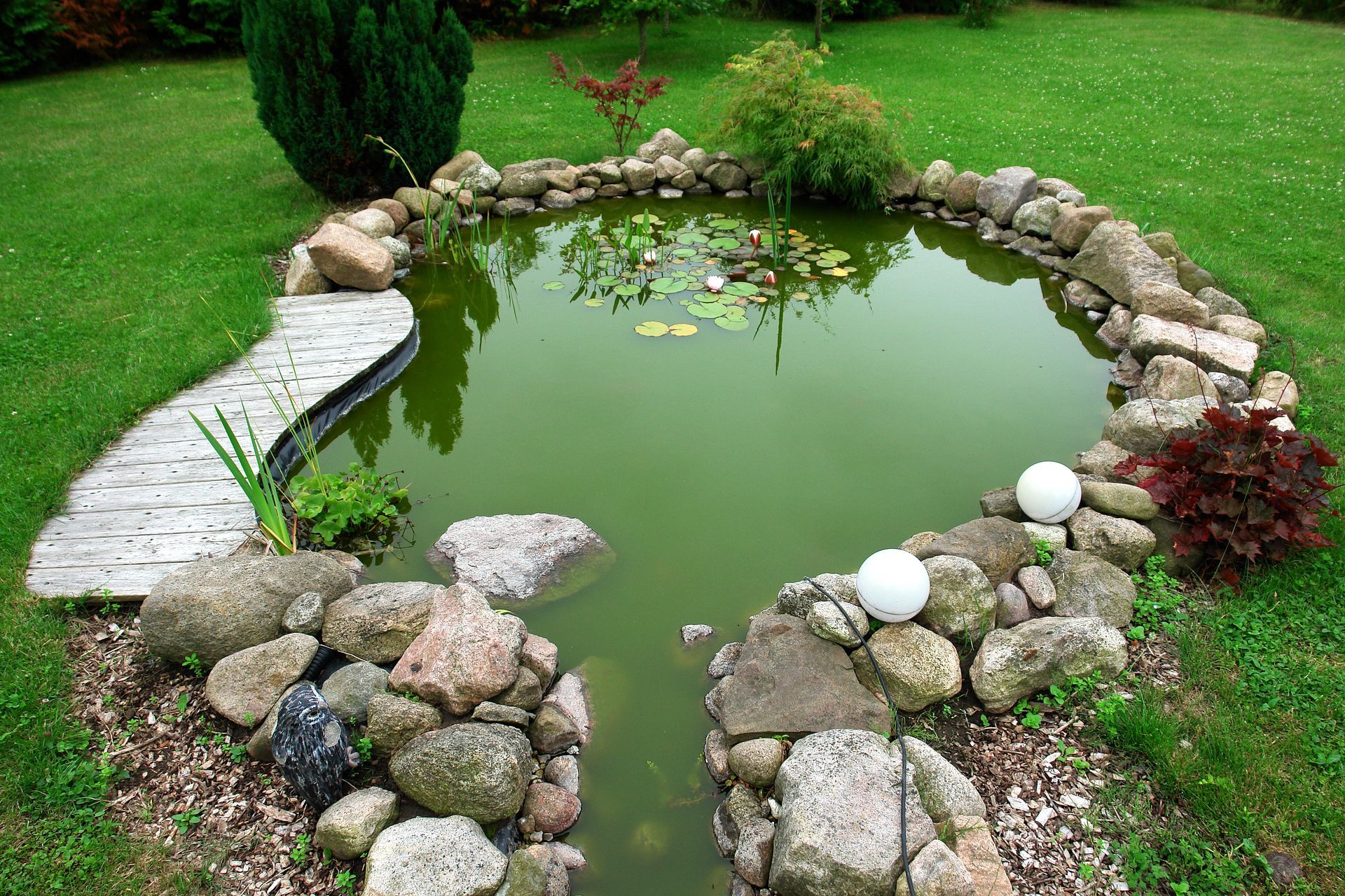 a pond surrounded by rocks and plants in a garden .