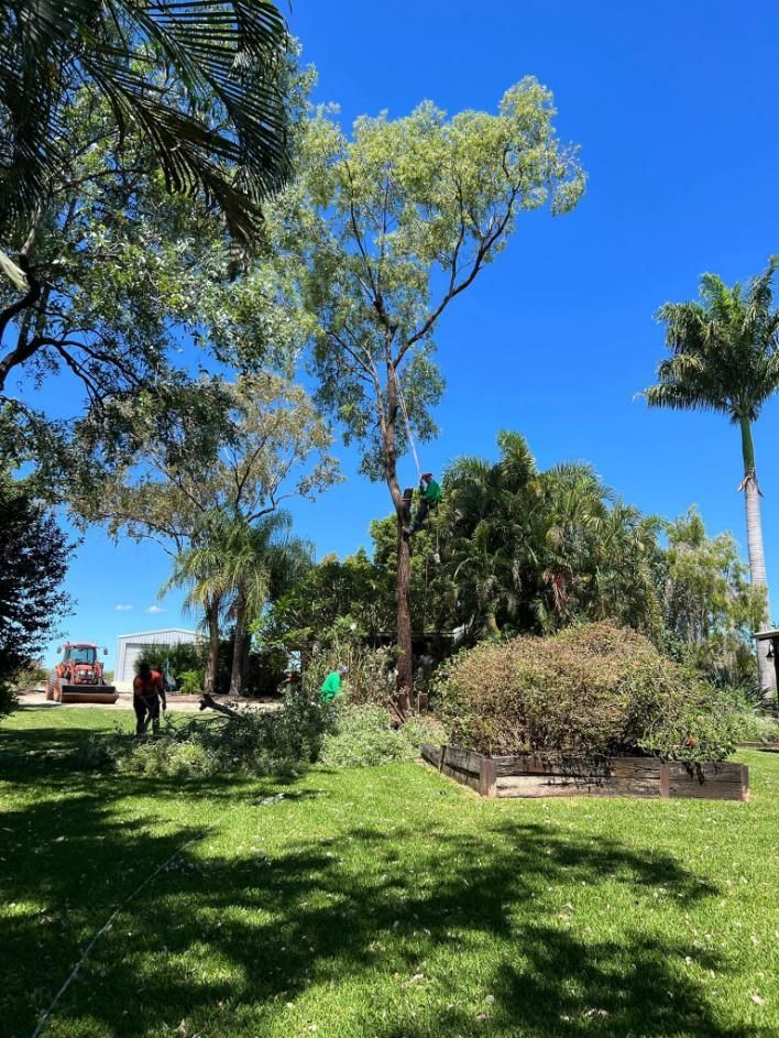 Man Cutting Down A Tree In A Lush Green Yard — Emerald Tree Services Pty Ltd in Emerald, QLD