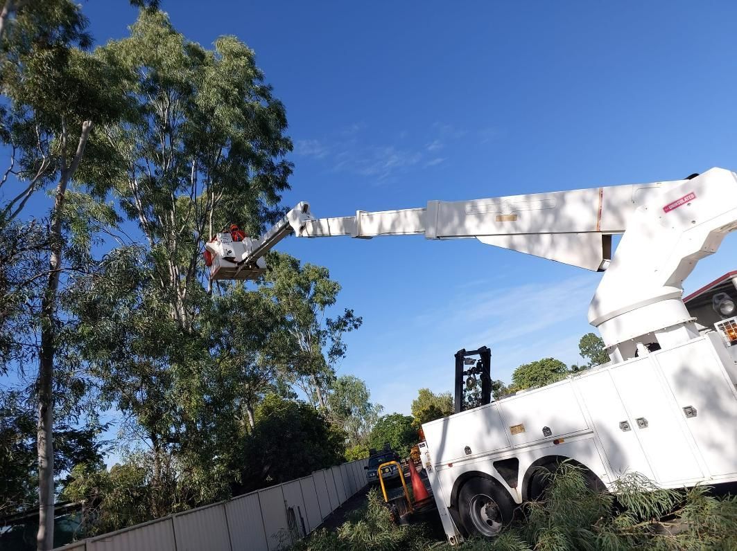 Man On White EWP Bucket Truck Cutting The Tree — Emerald Tree Services Pty Ltd in Emerald, QLD