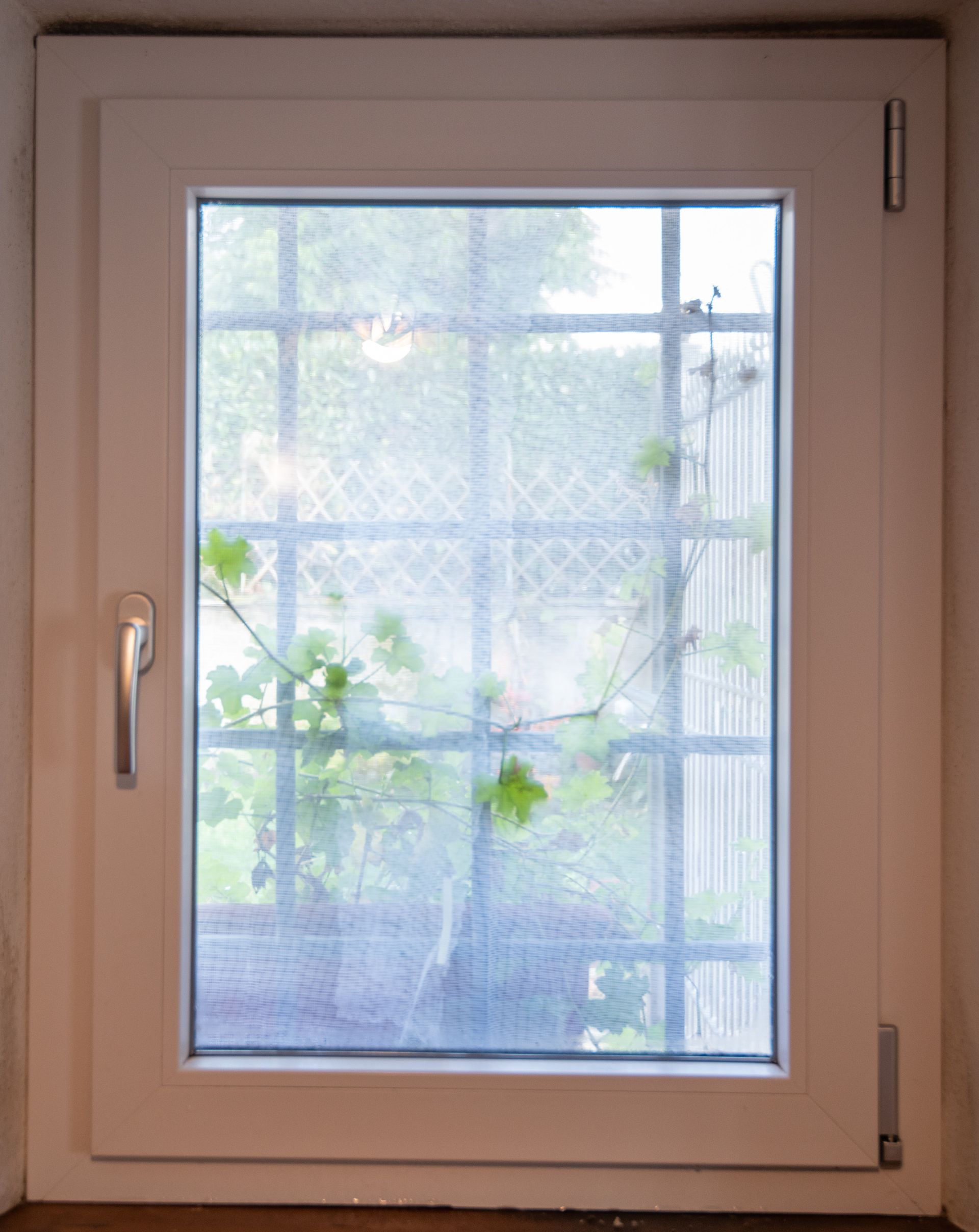 Finestra con cornice bianca, griglia metallica e fogliame visibile attraverso il vetro.