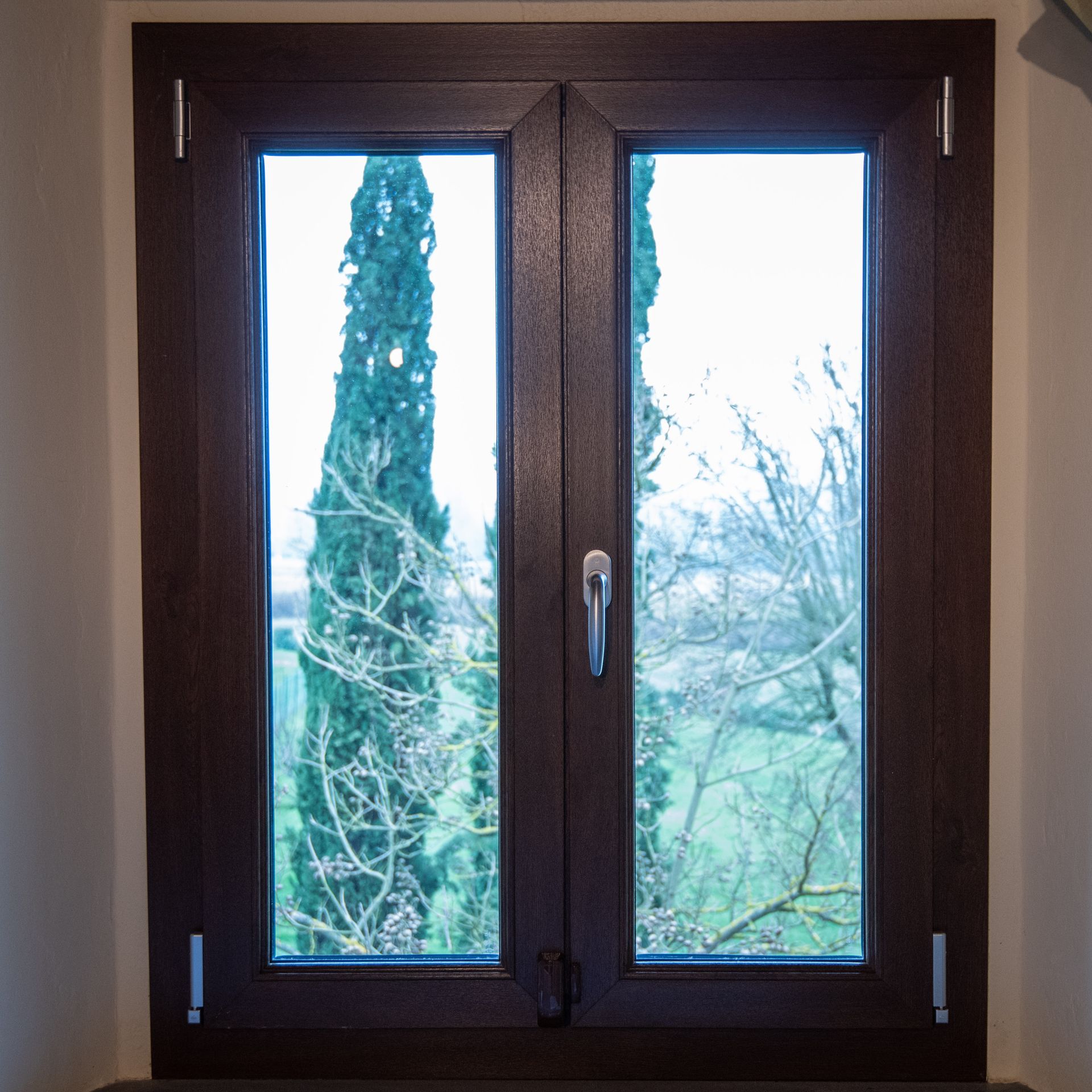 Finestra con doppi vetri color marrone scuro che si affaccia su un cipresso e altre foglie contro un cielo nuvoloso.