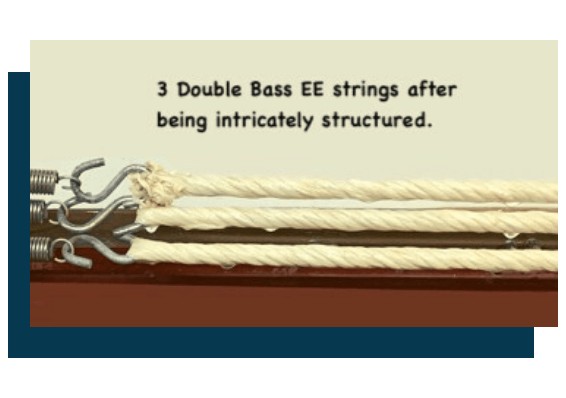 Antiquus double bass EE strings