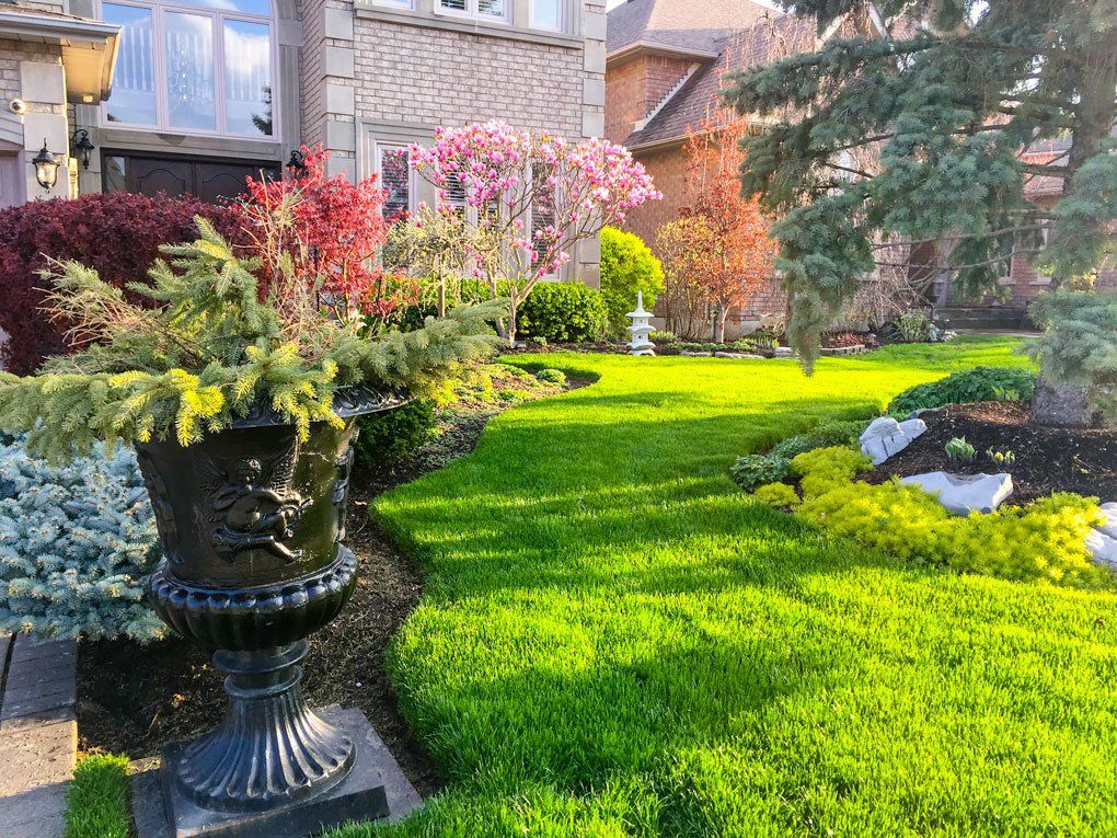 Lawn Care —Lawn Curve Design With Plants And Flowers in Morris Plains, NJ