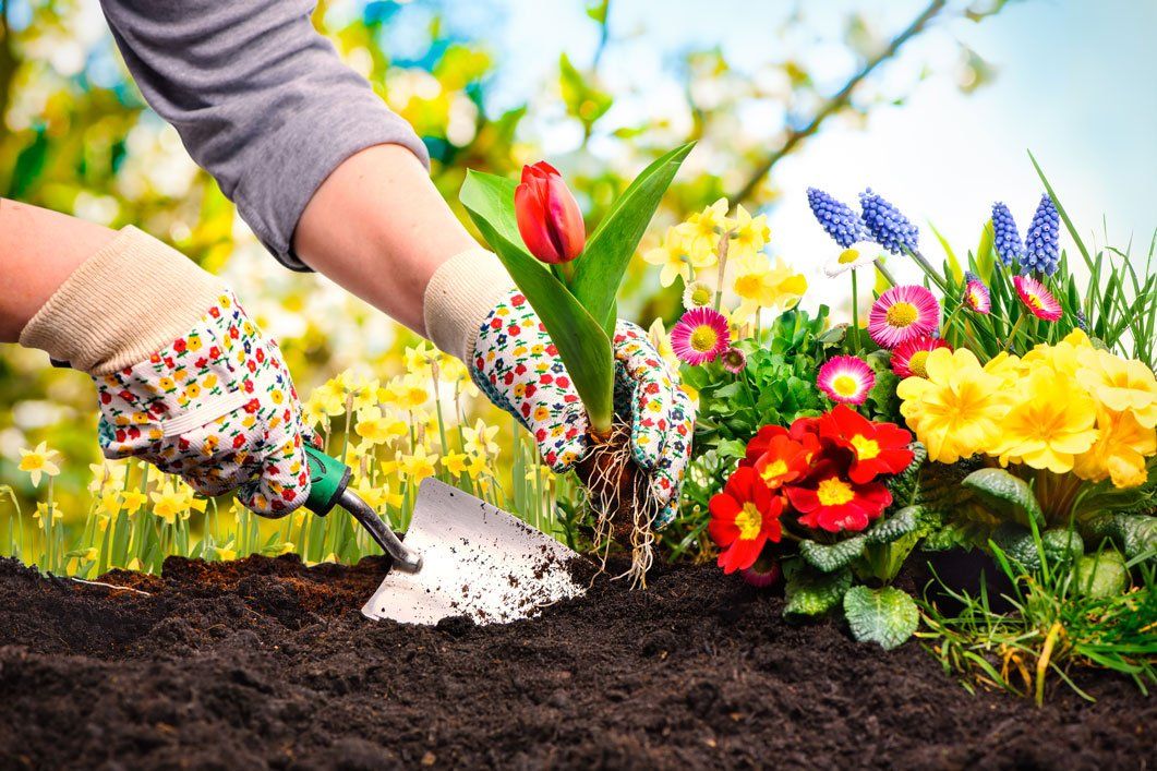 Rich Soil — Planting Flowers In A Rich Soil in Morris Plains, NJ