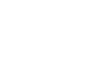 LOGO Menard Réno Prestige