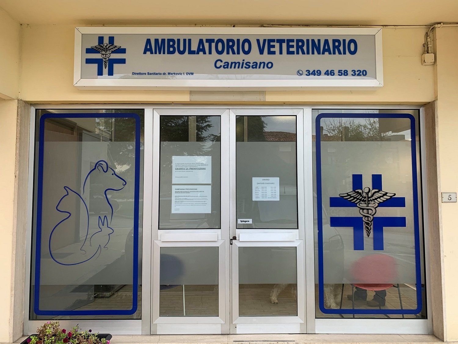 centro veterinario