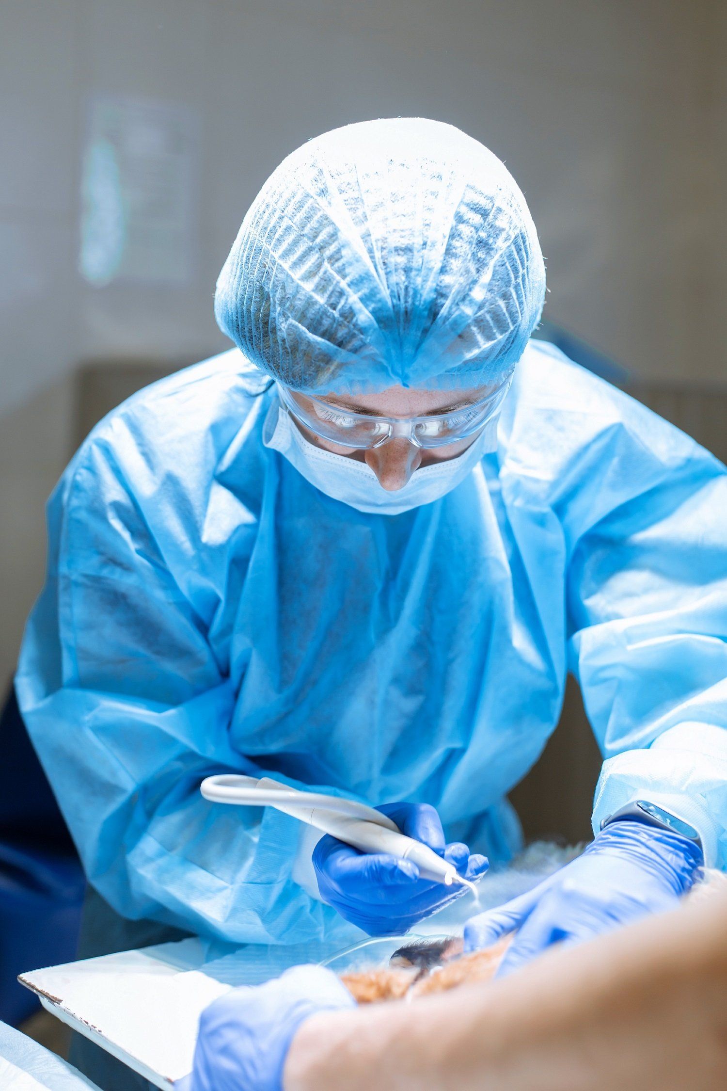 chirurgia veterinaria