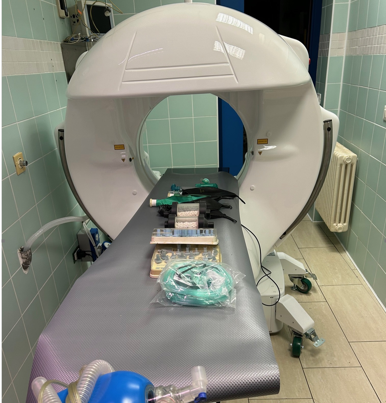 medicina interna veterinaria