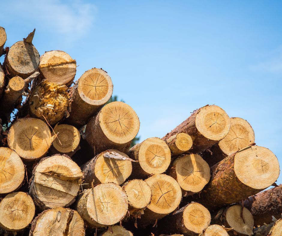 træstammer, der ligger oveni hinanden