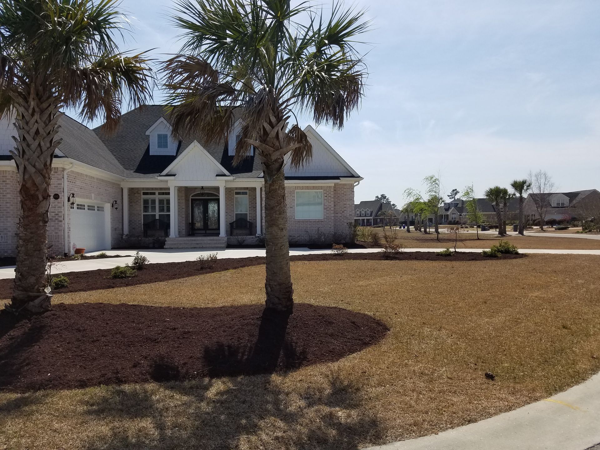 House with brick facade, palm trees, and brown mulch in the yard on a sunny day.