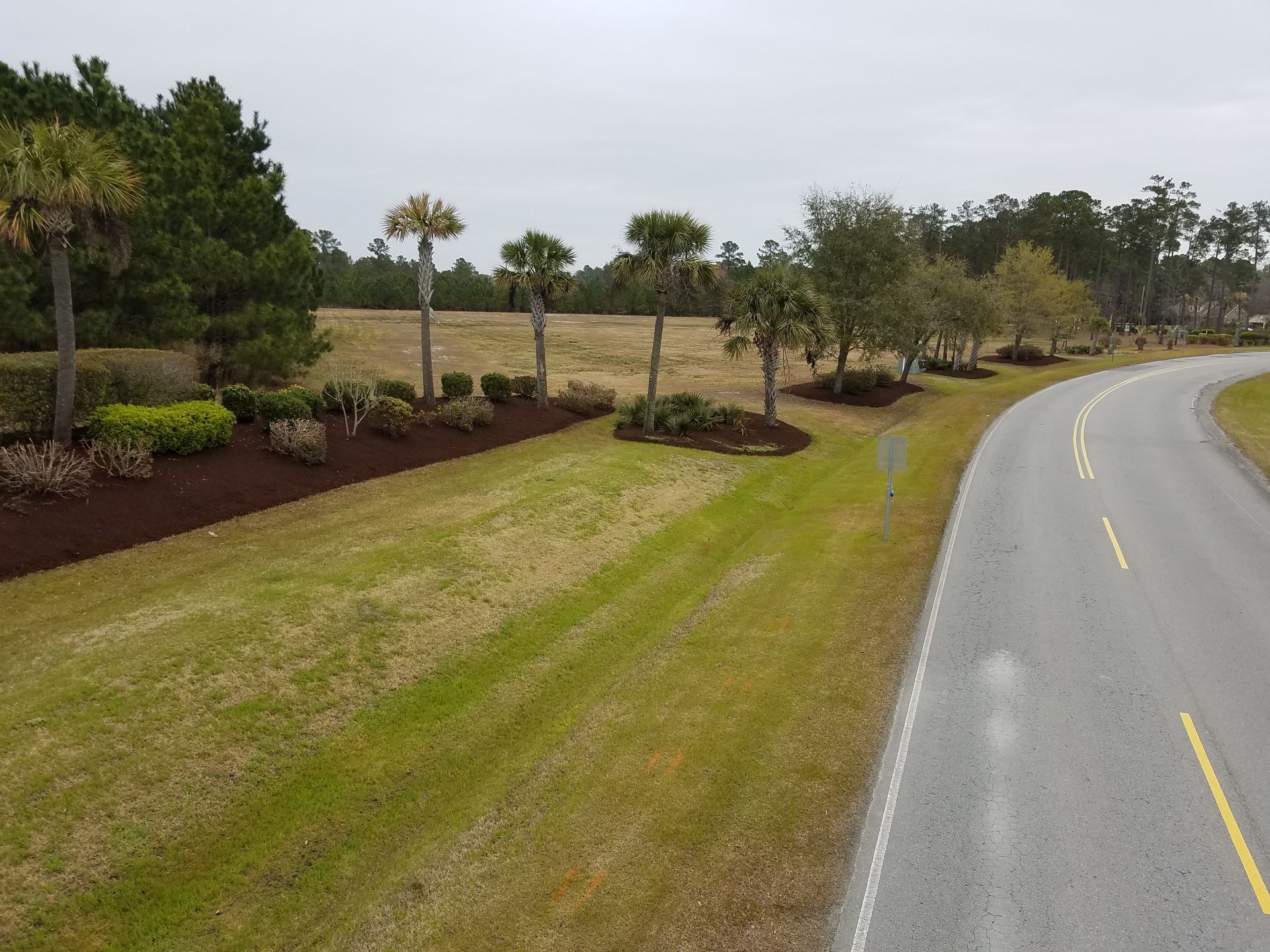 A curving road lined with palm trees, landscaping, and a green lawn under an overcast sky.