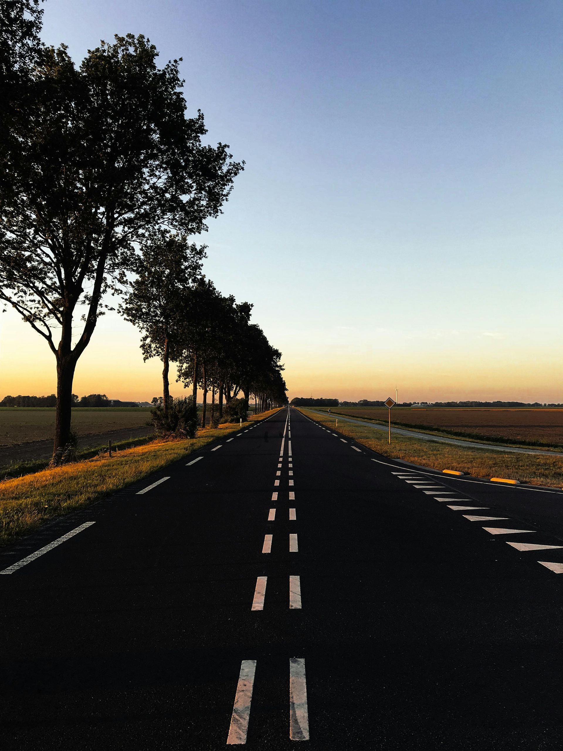 Empty road at sunrise, lined with trees, fields on either side.