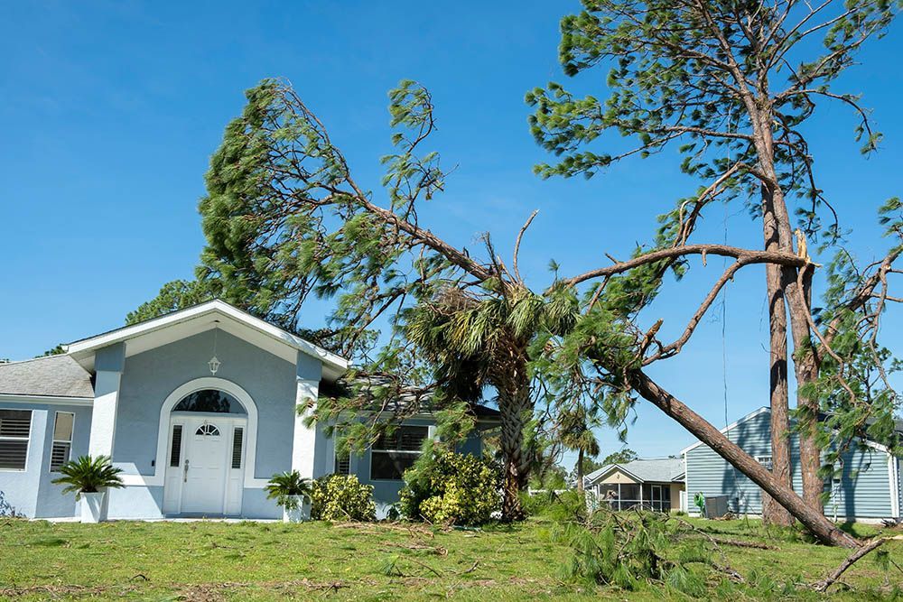 A house with a fallen tree in front of it.