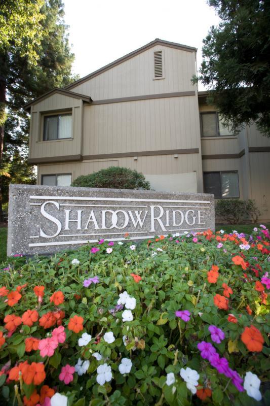 Shadow Ridge