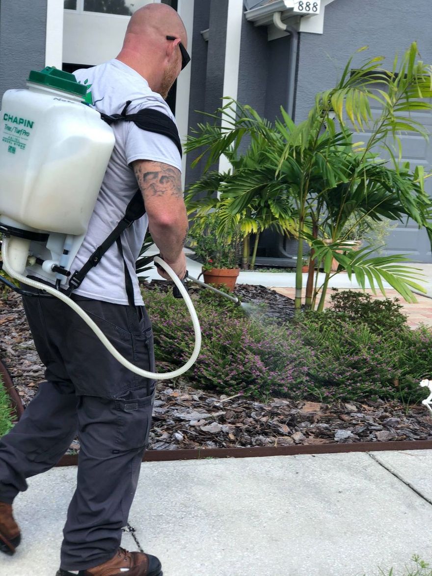 pest control in Florida