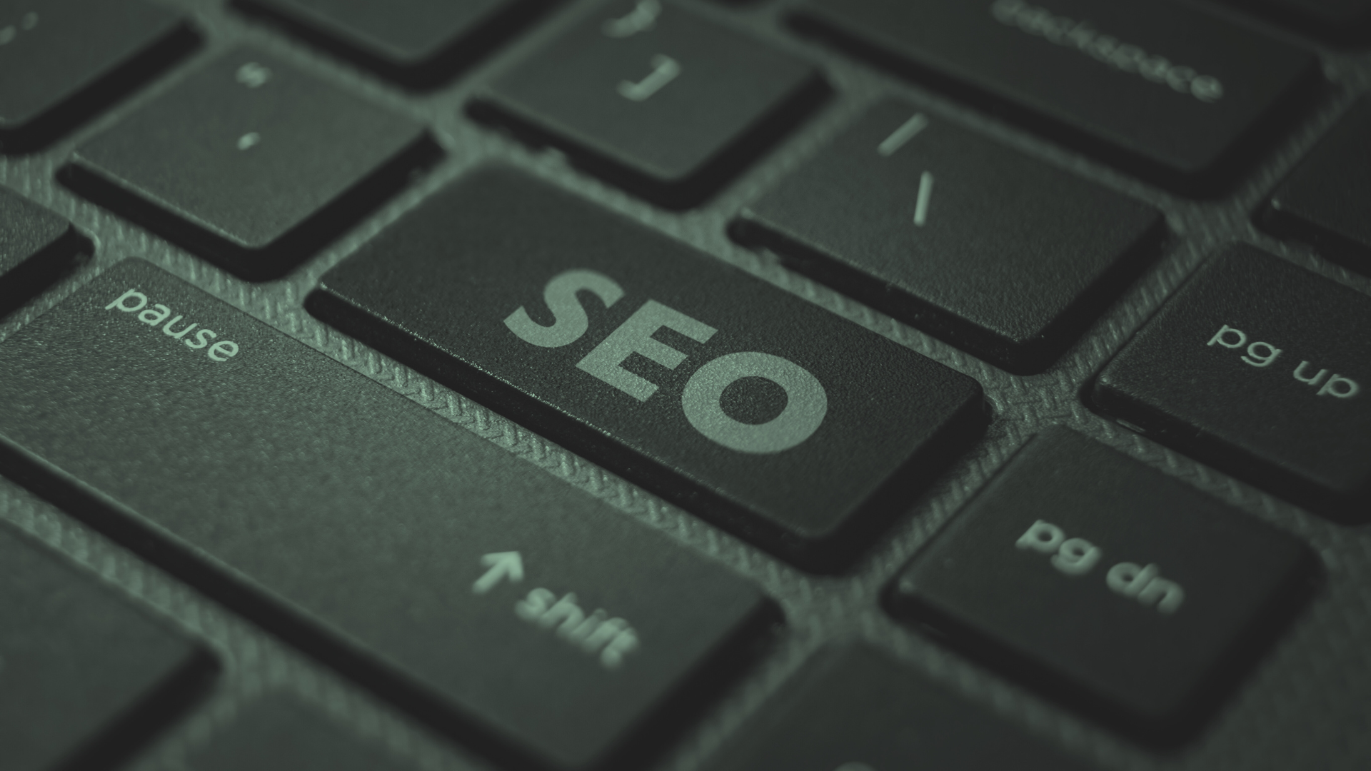 SEO background- kf seo media