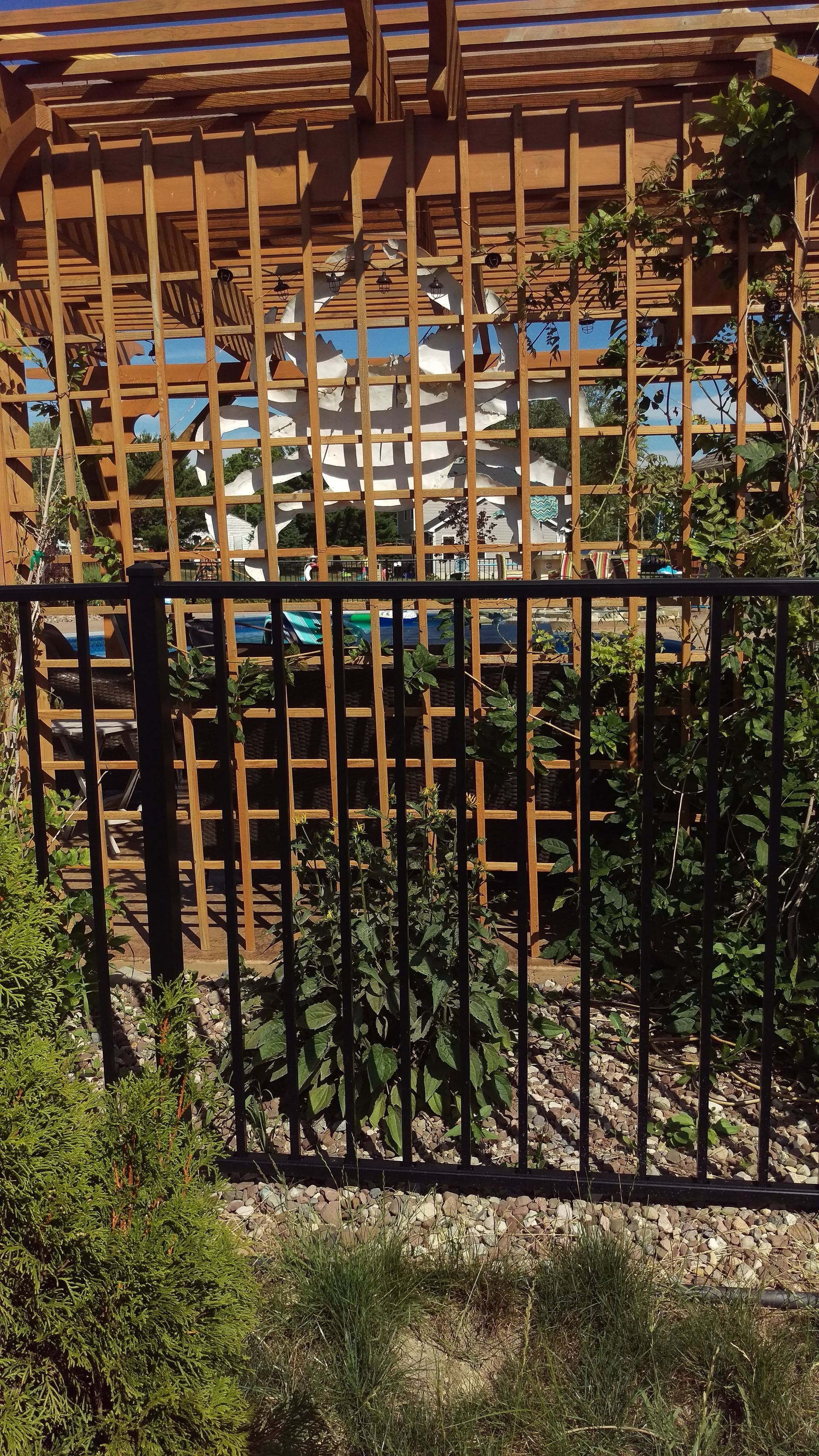 Wrought fence installation in Delavan, NY by KKR Fencing