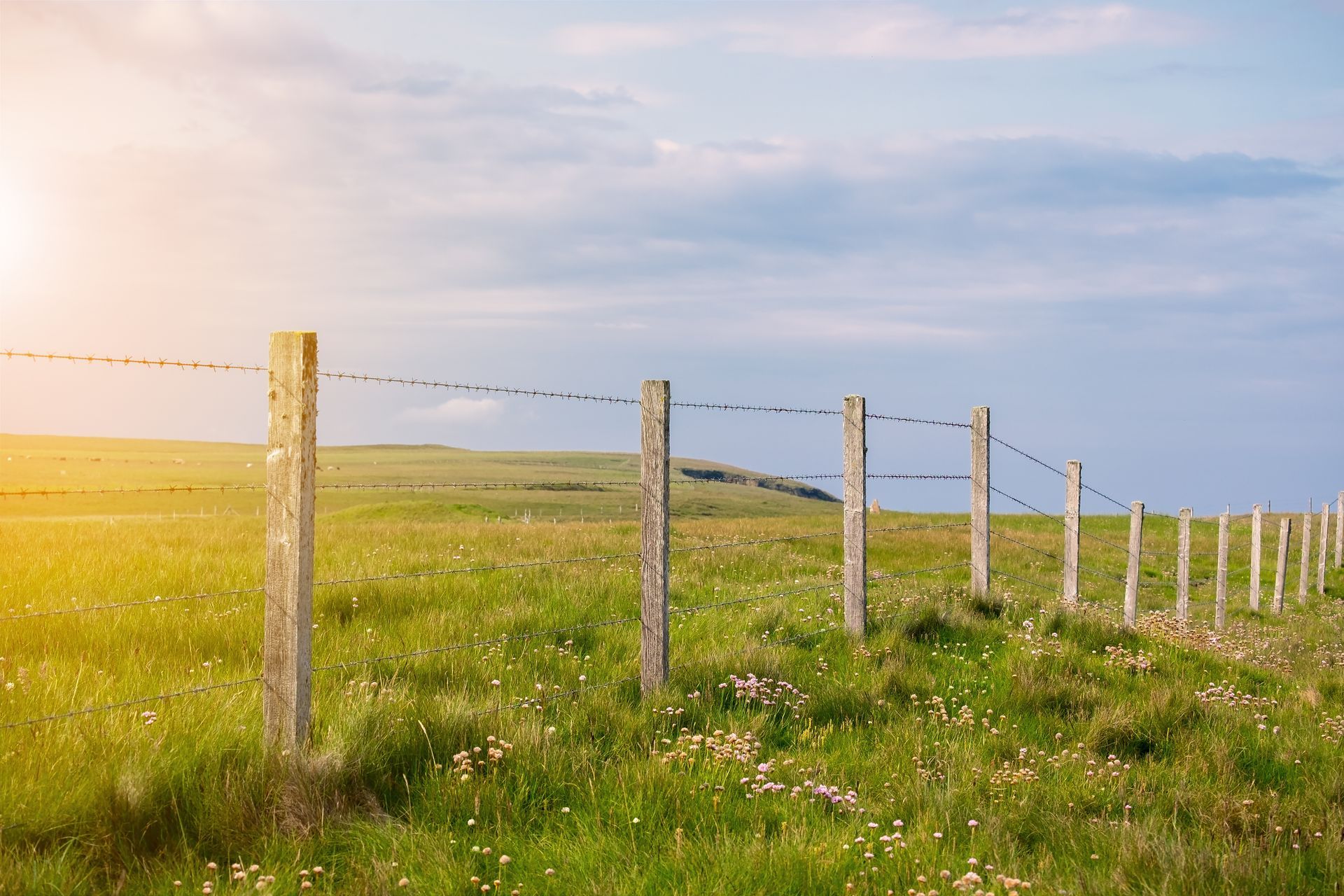 fence with barbed wire for a farm in western NY