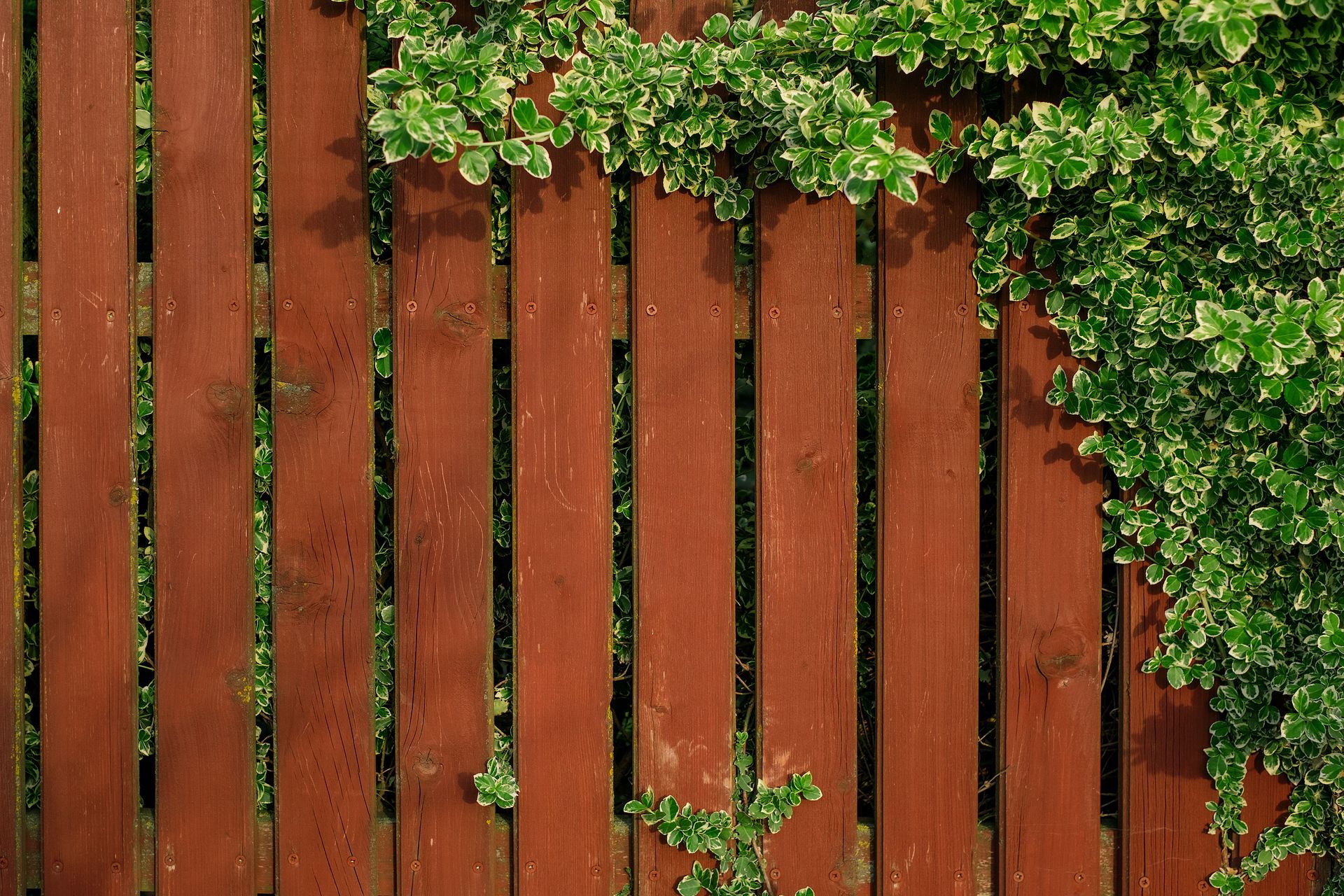 wood fence install in Amherst, NY